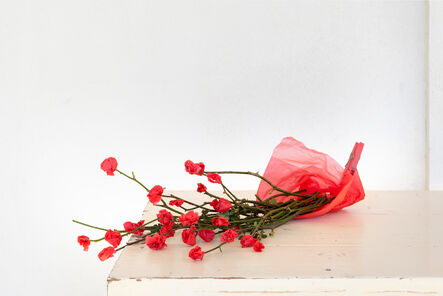 Adeline Thibaud, ‘Rosa plastifolia rubra - Some flowers never die’, 2021