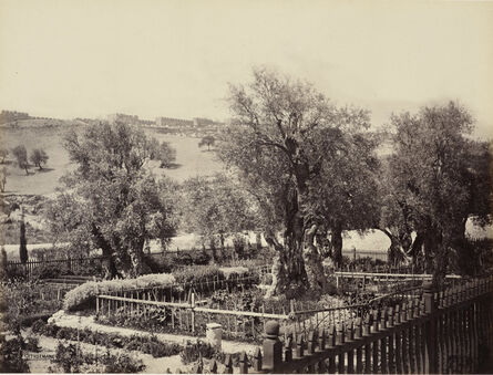 Francis Bedford, ‘The Garden of Gethsemane [Jerusalem]’, 2 April 1862