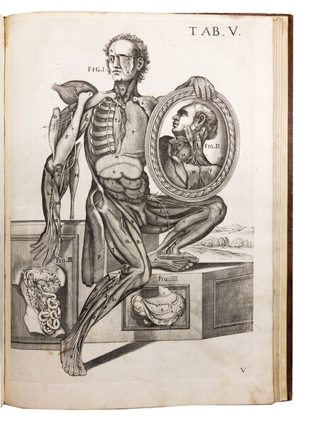 Pietro Berrettini, called Pietro da Cortona, ‘ Tabulae Anatomicae a Celeberrimo Pictore Petro Berrettino Cortonesi.’, 1741