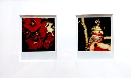 Nobuyoshi Araki, ‘“Flower”, 2006-2009 + “Pola Eros”, 2010-2012’
