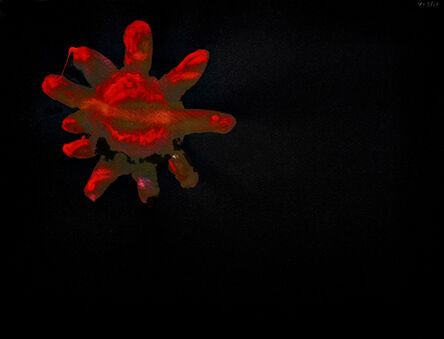 Alexis Rockman, ‘Untitled (Coronet Medusa)’, 2013