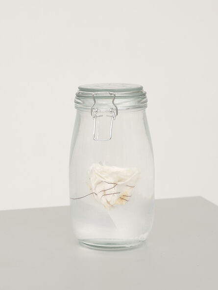 Edith Dekyndt, ‘Jar With Rose II’, 2019
