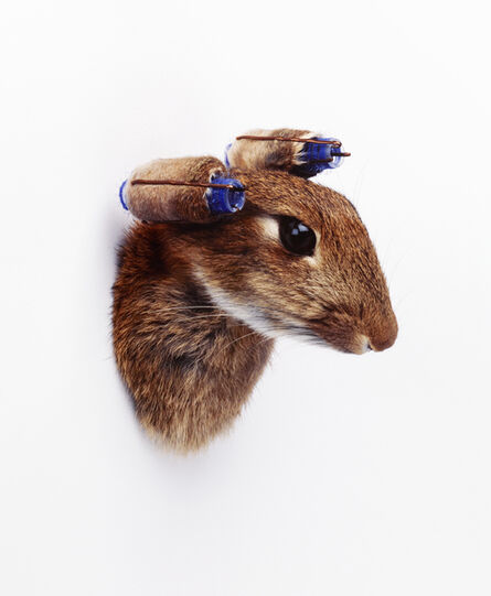 Nancy Fouts, ‘Rabbit with Curlers’, 2010