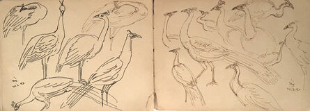 Indra Dugar, ‘Birds drawing in ink on paper by Bengal School Artist Indra Dugar, influenced by Artist Nandalal Bose’, 1976