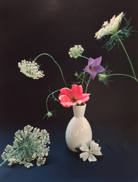 Horst P. Horst, ‘Platycum, Betty Pryor Rose, and Queen Anne's Lace’, ca. 1985