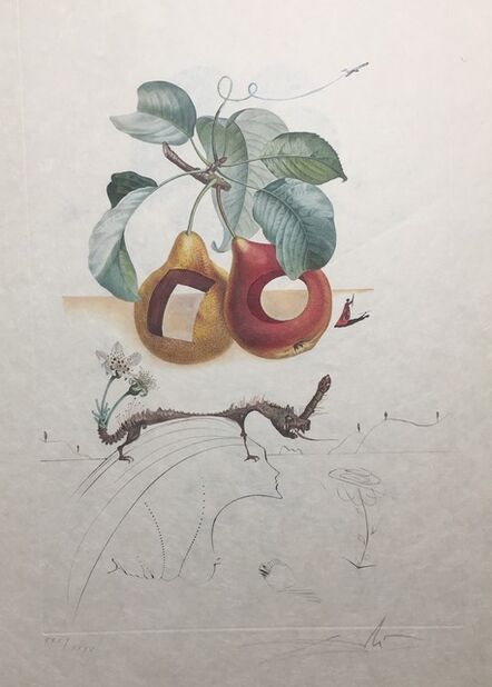 Salvador Dalí, ‘Les Fruits - Fruit With Holes’, 1969