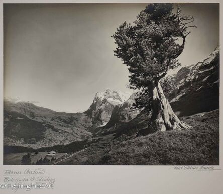 Albert Steiner, ‘Berner Oberland. Blick der kl. Scheidegg auf Grindelwald - Wetterhorn. (Bernese Oberland. Look of the kl. Scheidegg on Grindelwald - Wetterhorn.)’, 1925-1950