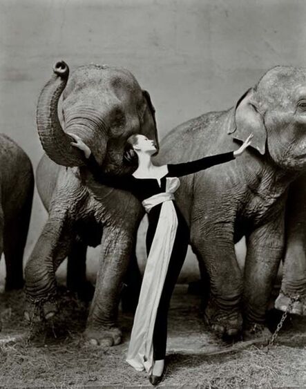 Richard Avedon, ‘Dovima with Elephant, Evening Dress by Dior, Cirque d'Hiver, Paris ’, 1955
