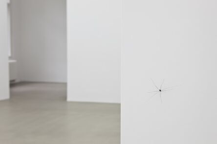 Pierre Huyghe, ‘C.C. Spider (View of the exhibition “Influants”, Esther Schipper Gallery, Berlin, 2011)’, 2011