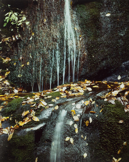 Eliot Porter, ‘Running water, Roaring Fork Road, Gt. Smoky Mts.’, October 10-1967