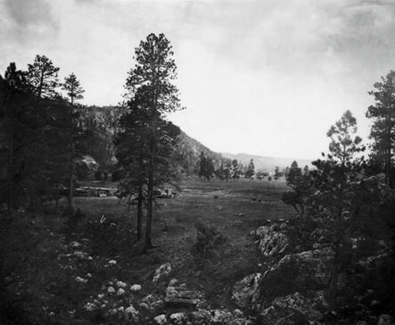 Timothy H. O'Sullivan, ‘Cooley's Park, Sierra Blanca Range, Arizona’, 1873