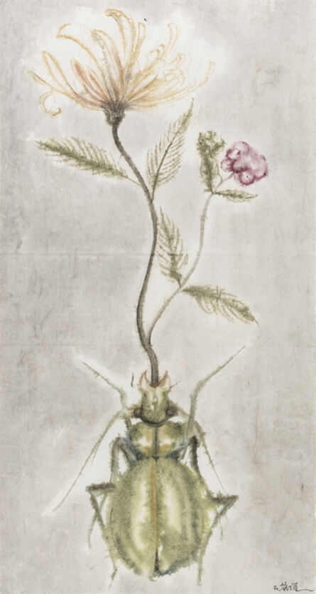 Shi Rongqiang, ‘Winter-Insect, Summer-Herb No.1’, 2015