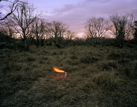Adam Ekberg, ‘An aerosol container in an abandoned peach orchard’, 2012