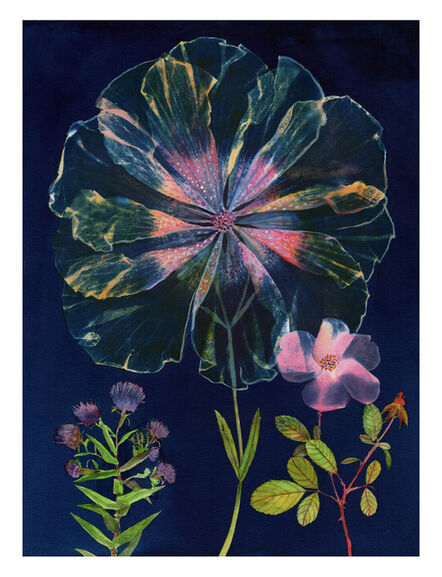 Julia Whitney Barnes, ‘Cyanotype Painting (Double Hibiscus Rose)’, 2020