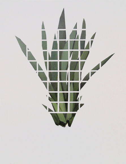 Benjámin Nagy, ‘Riddle (Hidden-plant) --- Rejtvény ( Rejtett növény ) ’, 2016