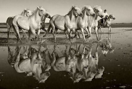 Sarah Corbin, ‘Reflection of Herd’