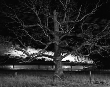 O. Winston Link, ‘NW1643 Giant Oak, Max Meadows, VA’, December 31 1957