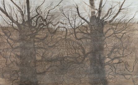 Elina Merenmies, ‘Language of Trees’, 2008