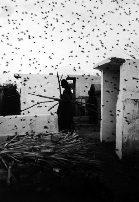 Graciela Iturbide, ‘Cementerio, Juchitán, Oaxaca’, 1988