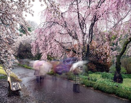 Matthew Pillsbury, ‘Hanami #18, Shinjuku Gyoen, Thursday, April 3rd’, 2014