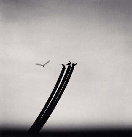 Michael Kenna, ‘Four Birds, St Nazaire, France’, 2000