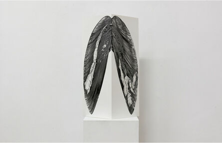 Kate Atkin, ‘Study: Shell’, 2011
