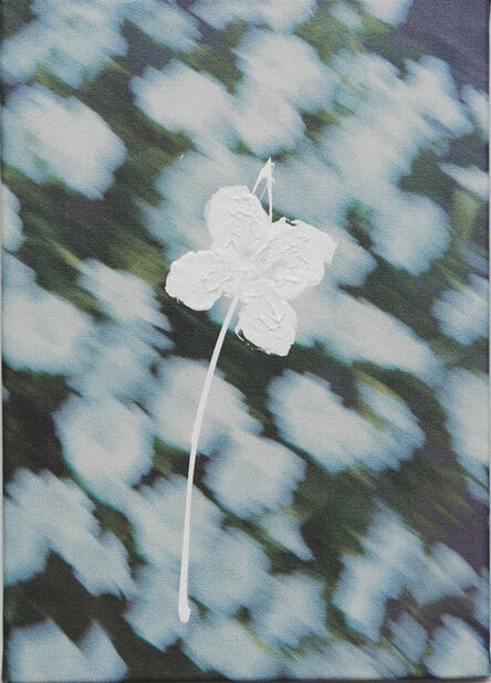 Marijke van Warmerdam, ‘Flower 1 – white peduncle’, 2009