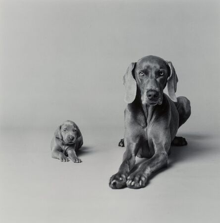William Wegman, ‘Untitled (Mother and Puppy)’, 1989-printed later