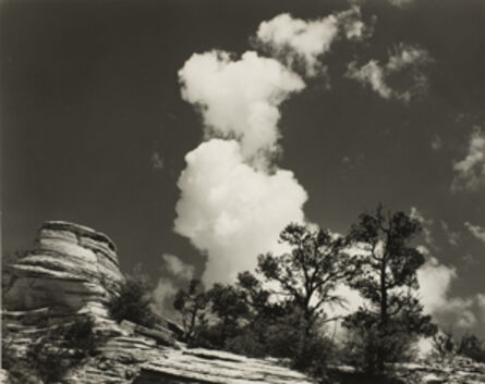 Minor White, ‘Zion National Park, Utah’, 1960