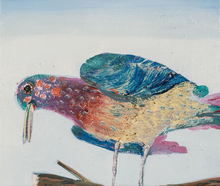 Pieter Jennes, ‘Invasive bird’, 2020
