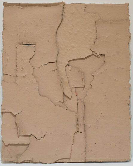 Franco Arocha, ‘Tanned wall’, 2107