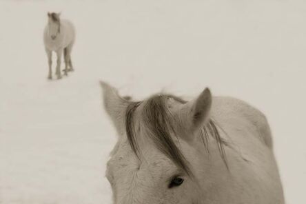 Jack Spencer, ‘Snow Ponies, Truchas, New Mexico’, 2006