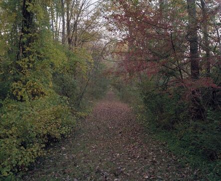 Jeff Brouws, ‘Railroad Landscape #52, former Poughkeepsie and Connecticut right-of-way crossing Buttercup Wildlife Preserve (abandoned 1909), MP 94, view north, Fall, near Stissing, New York’, 2010