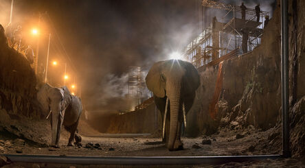 Nick Brandt, ‘River Bed with Elephants’, 2018