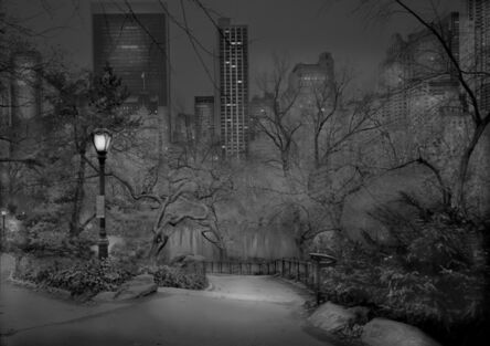 Michael Massaia, ‘South View #2 - Deep In A Dream - Central Park’, 2012