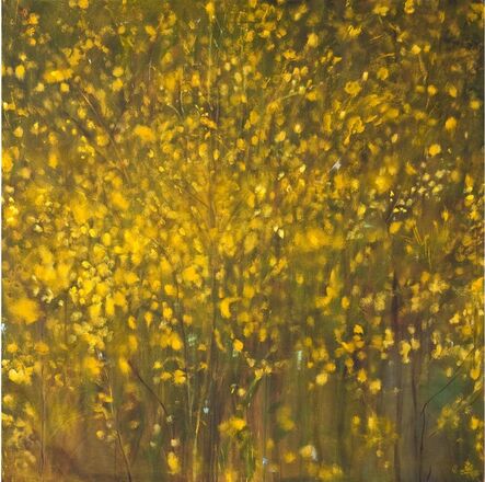 Carole Pierce, ‘Light Field I’, 2013-2014