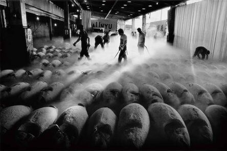 Chao-Liang Shen, ‘Tsukiji Fish Market 06’, 1994