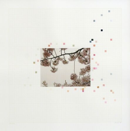 Darren Almond, ‘Sakura Chart #0.09’, 2006
