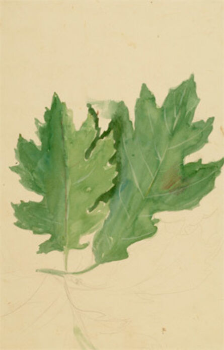 John Steuart Curry, ‘Study of Two Oak Leaves’