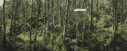 Honggoo Kang, ‘Study of Green - White Birch A’, 2011