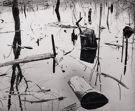 Paul Caponigro, ‘Marshland, Saugus, MA’, 1957