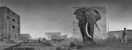 Nick Brandt, ‘Road with Elephant’, 2014