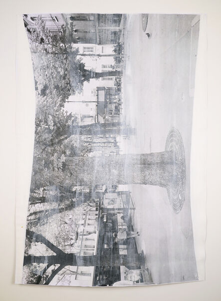 David Thomas, ‘Impermanences, Pigeon Visiting Paris, White + Grey’, 2015