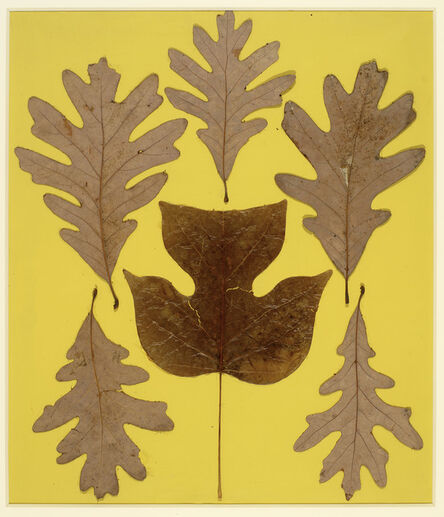 Josef Albers, ‘Leaf Study IX’, c. 1940