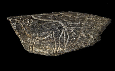 ‘Engraving of a horse; From Montastruc, France’, Palaeolithic