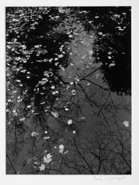 Paul Caponigro, ‘Pool & Leaves ’, 1968