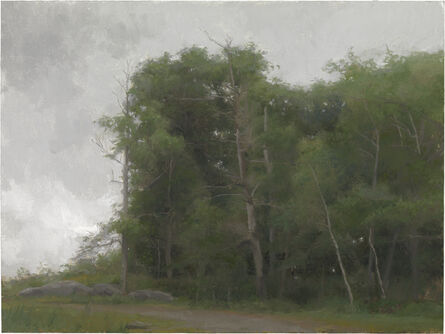 Jacob Collins, ‘Catskill Trees, Gray Sky’, 2010