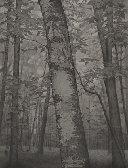 Mary Reilly, ‘Within the Forest’, 2018