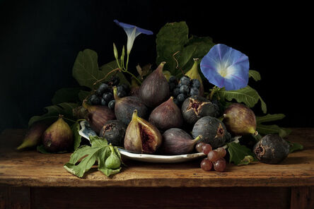 Paulette Tavormina, ‘Figs and Morning Glories, After G.G.’, 2010
