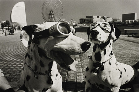 Elliott Erwitt, ‘Yokohama, Japan (2 dogs in goggles)’, 2003